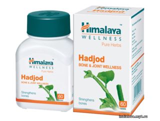 Хаджод / Hadjod , Himalaya , 60 таблеток