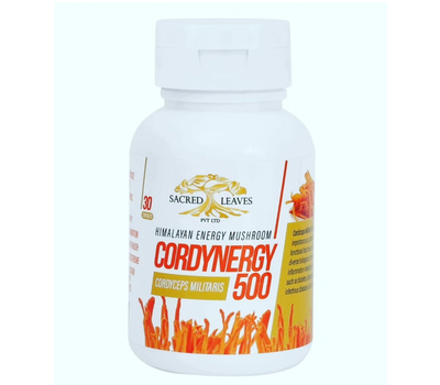 Кордицепс милитари, гималайский энергетический гриб / Cordynergy 500 mg Cordyceps Militaris 30 капсул